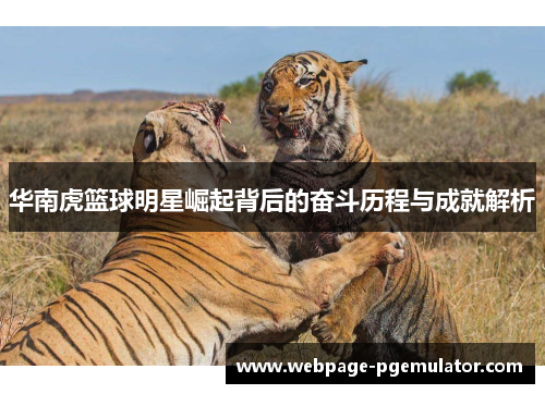 华南虎篮球明星崛起背后的奋斗历程与成就解析