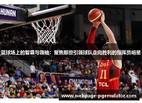 篮球场上的智囊与领袖：聚焦那些引领球队走向胜利的指挥员明星