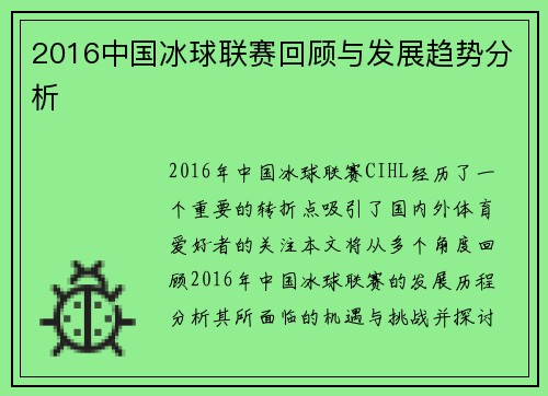 2016中国冰球联赛回顾与发展趋势分析